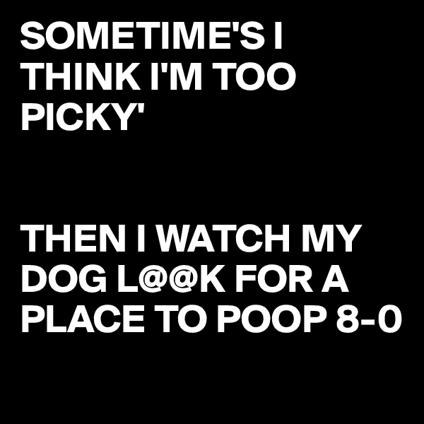 SOMETIME'S I THINK I'M TOO PICKY'


THEN I WATCH MY DOG L@@K FOR A PLACE TO POOP 8-0
