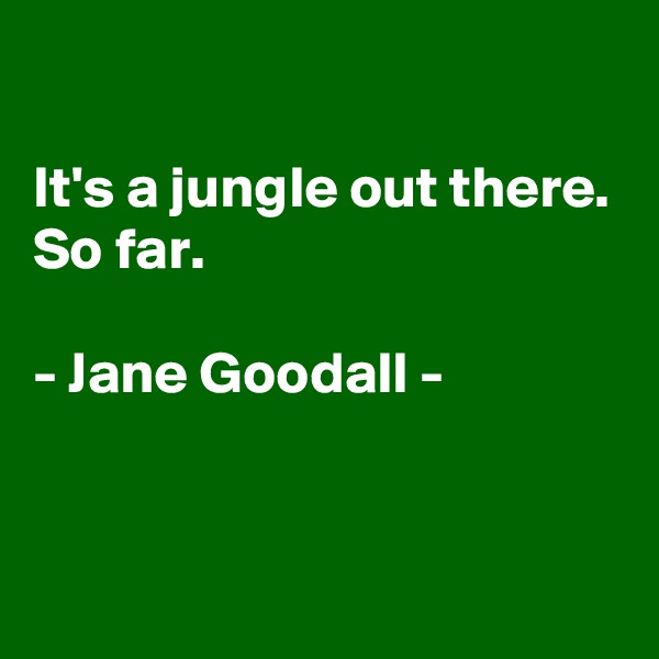 

It's a jungle out there.
So far.

- Jane Goodall - 


