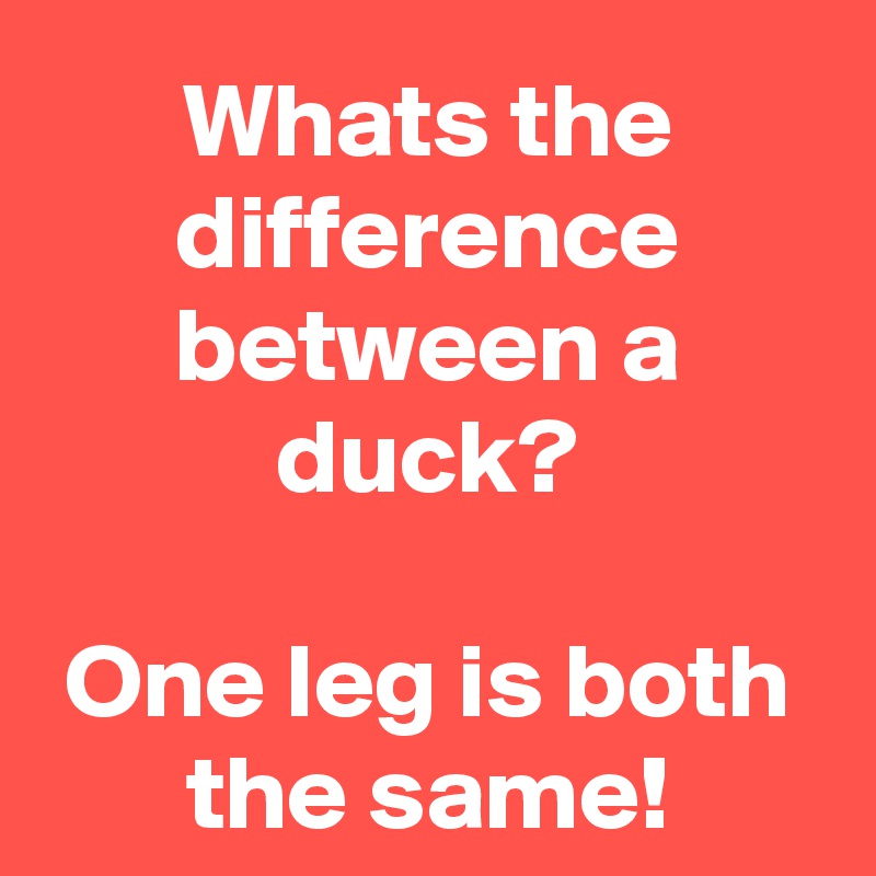 Whats the difference between a duck? One leg is both the same! - Post ...