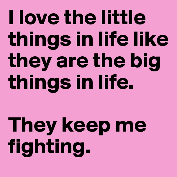 I love the little things in life like they are the big things in life. 

They keep me fighting. 
