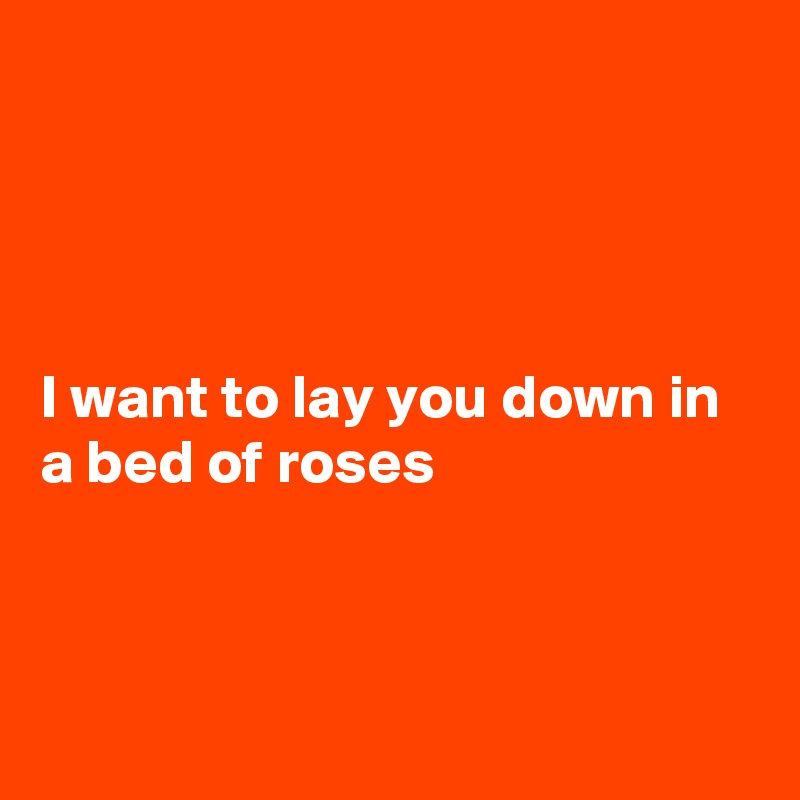 




I want to lay you down in a bed of roses 




