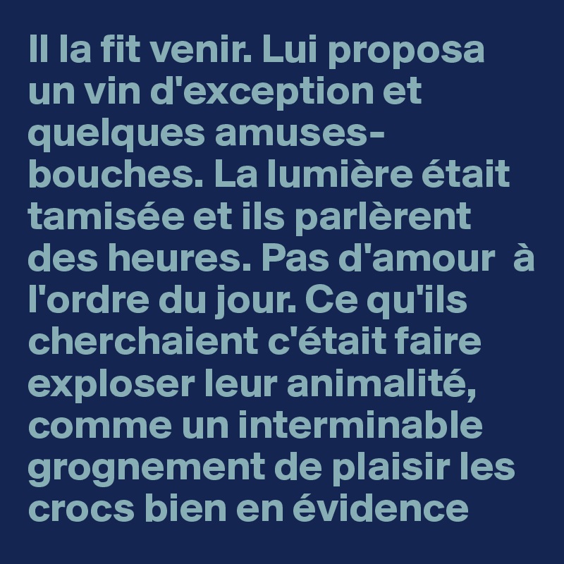 Il la fit venir. Lui proposa un vin d'exception et quelques amuses-bouches. La lumière était tamisée et ils parlèrent des heures. Pas d'amour  à l'ordre du jour. Ce qu'ils cherchaient c'était faire exploser leur animalité, comme un interminable grognement de plaisir les crocs bien en évidence
