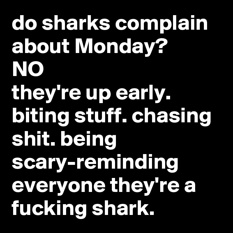 do sharks complain about Monday?
NO
they're up early. biting stuff. chasing shit. being scary-reminding everyone they're a fucking shark.