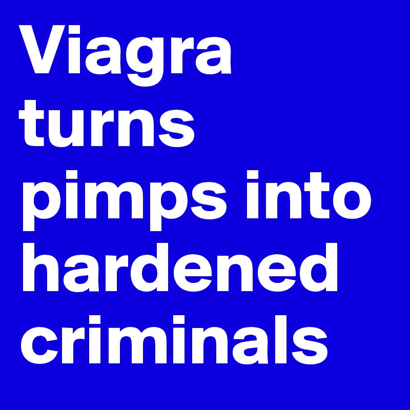 Viagra turns pimps into hardened criminals