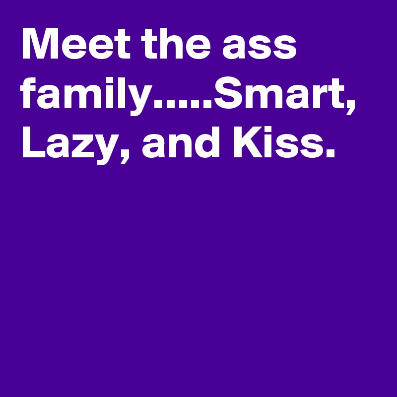 Meet the ass family.....Smart, Lazy, and Kiss. 