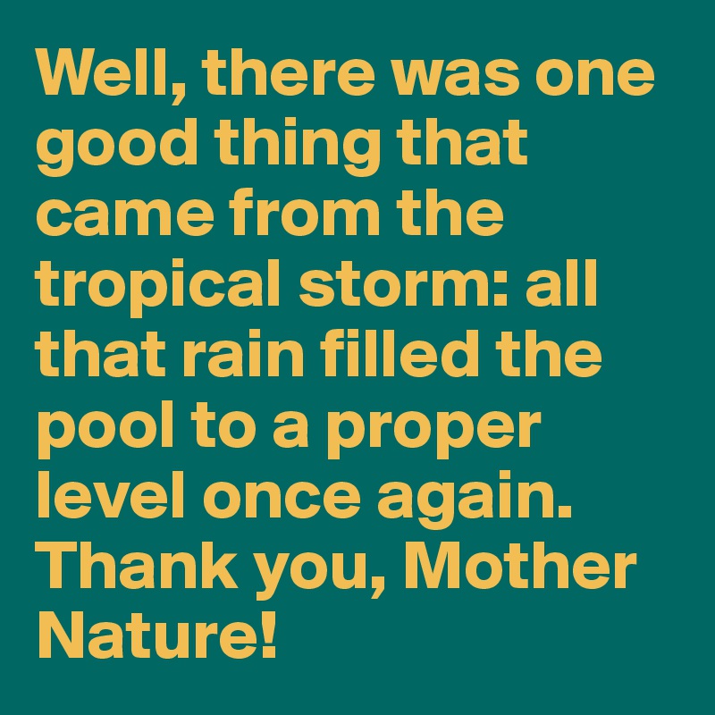 Well, there was one good thing that came from the tropical storm: all that rain filled the pool to a proper level once again. Thank you, Mother Nature!