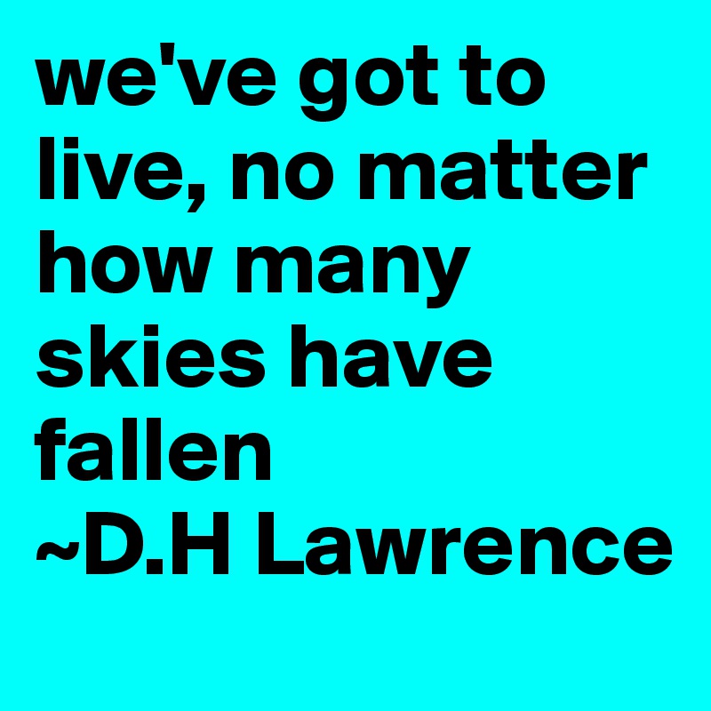 we've got to live, no matter how many skies have fallen
~D.H Lawrence