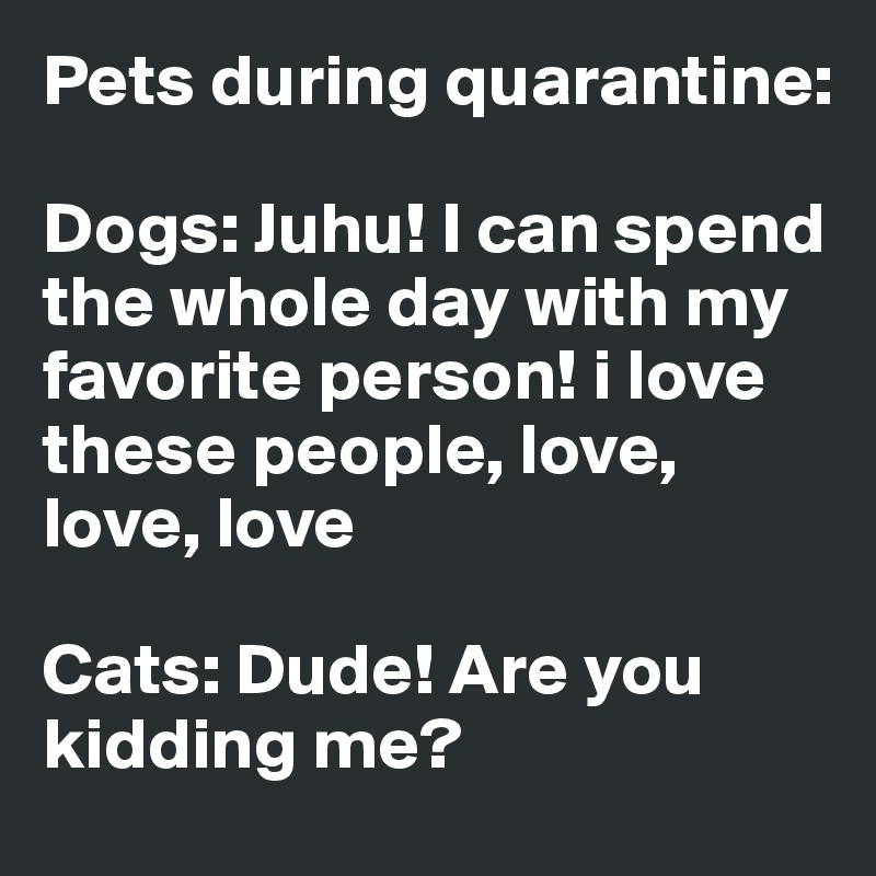 Pets during quarantine:

Dogs: Juhu! I can spend the whole day with my favorite person! i love these people, love, love, love

Cats: Dude! Are you kidding me?