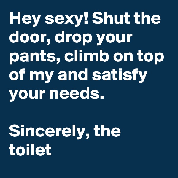 Hey sexy! Shut the door, drop your pants, climb on top of my and satisfy your needs.

Sincerely, the toilet