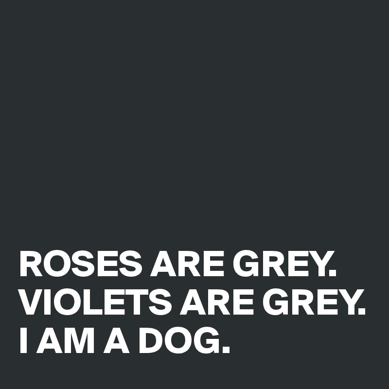 





ROSES ARE GREY. VIOLETS ARE GREY. I AM A DOG.