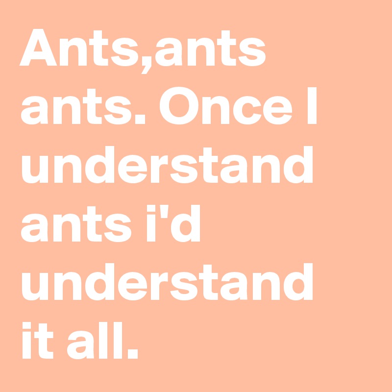 Ants,ants ants. Once I understand ants i'd understand it all.