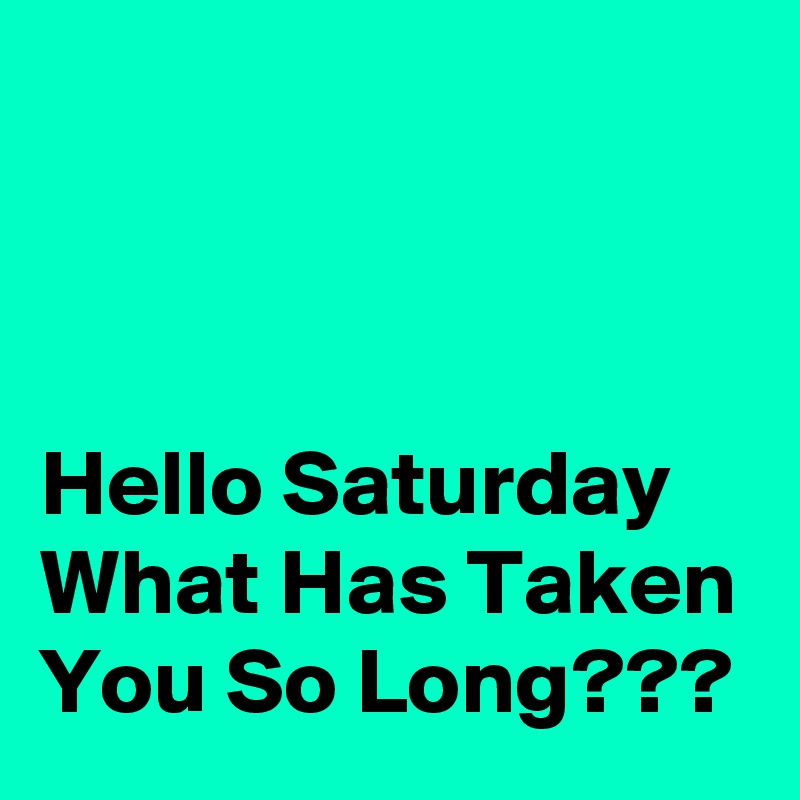 



Hello Saturday What Has Taken You So Long???