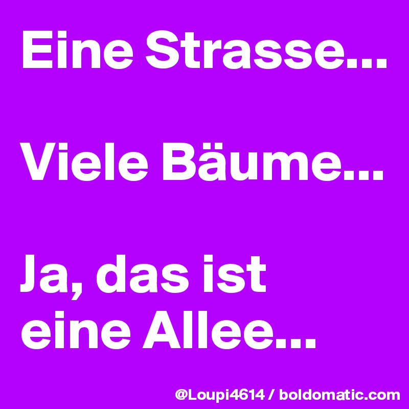 Eine Strasse...

Viele Bäume...

Ja, das ist eine Allee...