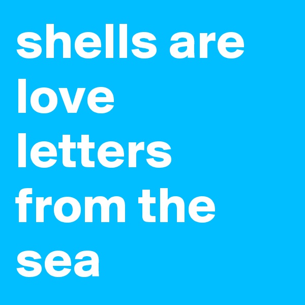 shells are love letters from the sea