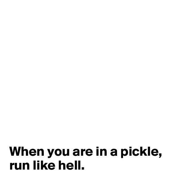 









When you are in a pickle, run like hell. 