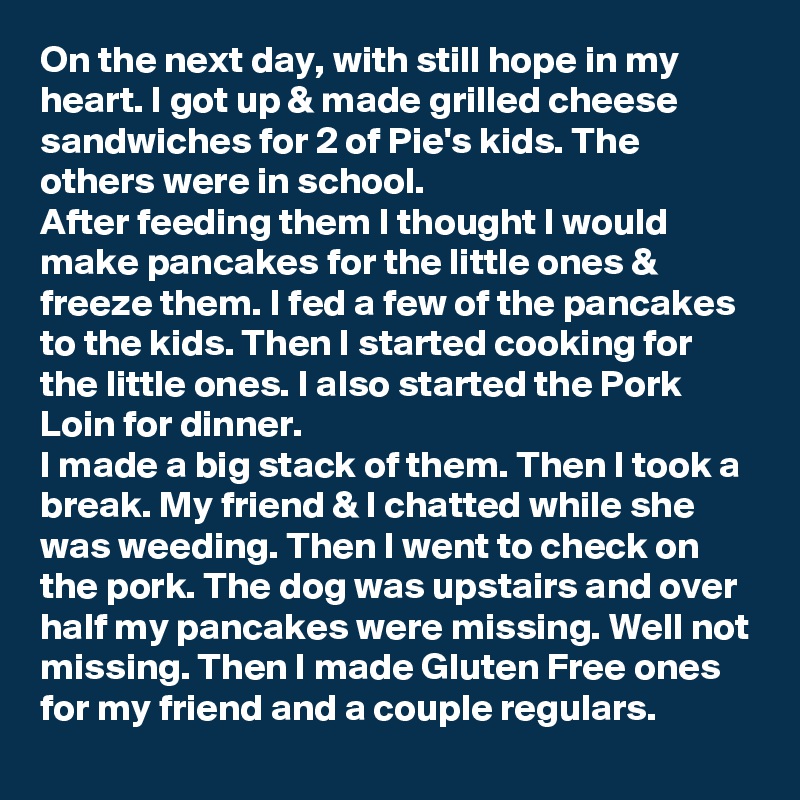 On the next day, with still hope in my heart. I got up & made grilled cheese sandwiches for 2 of Pie's kids. The others were in school.
After feeding them I thought I would make pancakes for the little ones & freeze them. I fed a few of the pancakes to the kids. Then I started cooking for the little ones. I also started the Pork Loin for dinner.
I made a big stack of them. Then I took a break. My friend & I chatted while she was weeding. Then I went to check on the pork. The dog was upstairs and over half my pancakes were missing. Well not missing. Then I made Gluten Free ones for my friend and a couple regulars. 