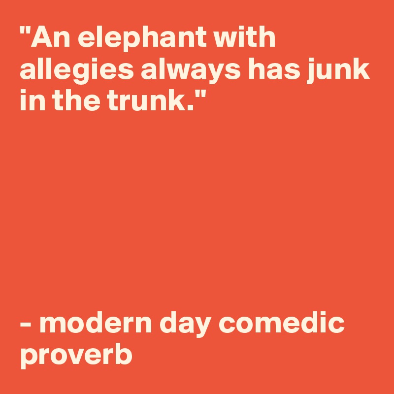 "An elephant with allegies always has junk in the trunk." 






- modern day comedic proverb