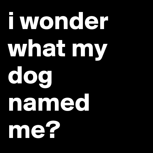 i wonder what my dog named me?