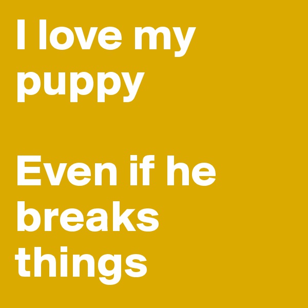 I love my puppy

Even if he breaks things 