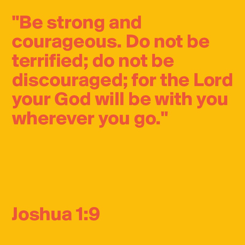 "Be strong and courageous. Do not be terrified; do not be discouraged; for the Lord your God will be with you wherever you go."




Joshua 1:9