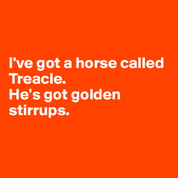 

 
I've got a horse called Treacle. 
He's got golden stirrups.


