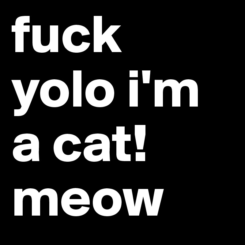 fuck yolo i'm a cat!
meow