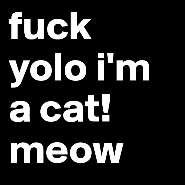 fuck yolo i'm a cat!
meow