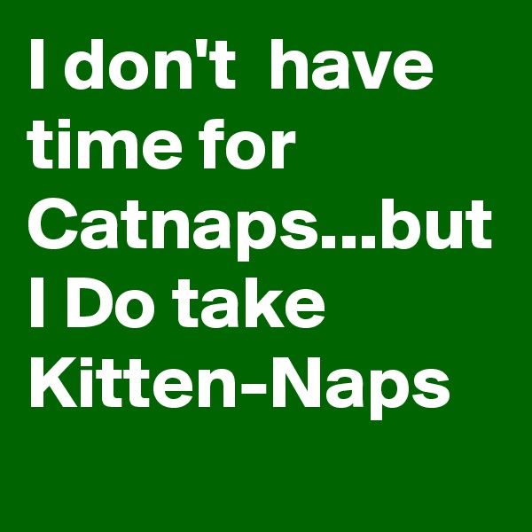 I don't  have time for Catnaps...but I Do take Kitten-Naps