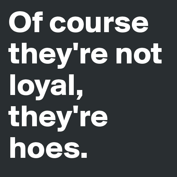 Of course they're not
loyal, 
they're hoes.