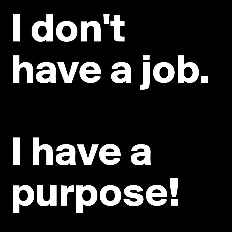 I don't have a job.

I have a purpose!