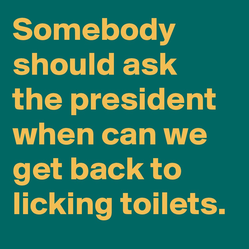 Somebody should ask the president when can we get back to licking toilets.