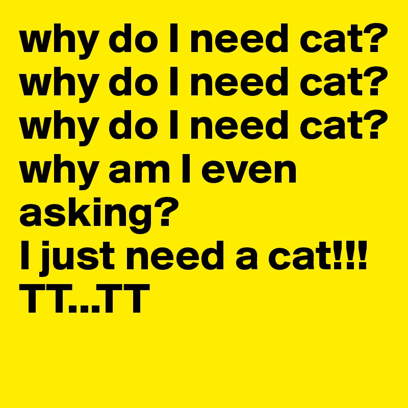why do I need cat?
why do I need cat?
why do I need cat?
why am I even asking?
I just need a cat!!! 
TT...TT