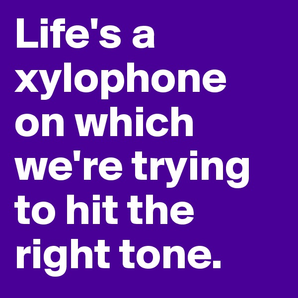 Life's a xylophone on which we're trying to hit the right tone.
