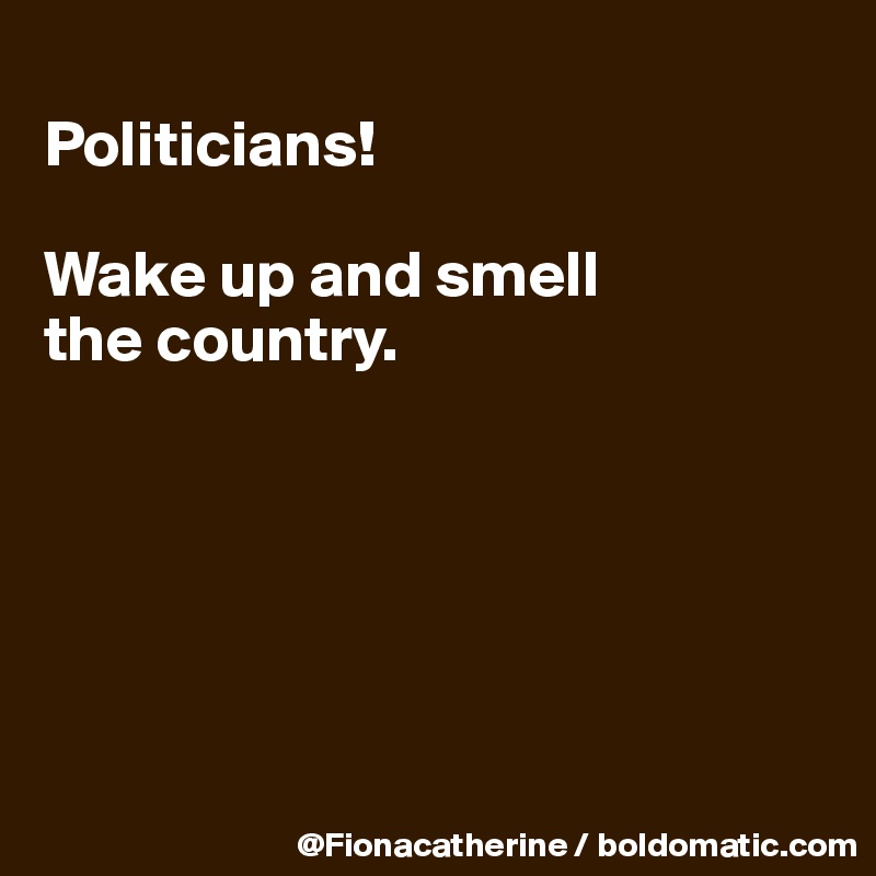 
Politicians!

Wake up and smell
the country.






