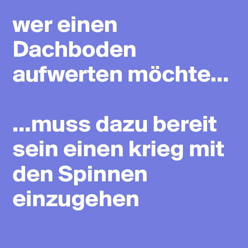 wer einen Dachboden aufwerten möchte...

...muss dazu bereit sein einen krieg mit den Spinnen einzugehen