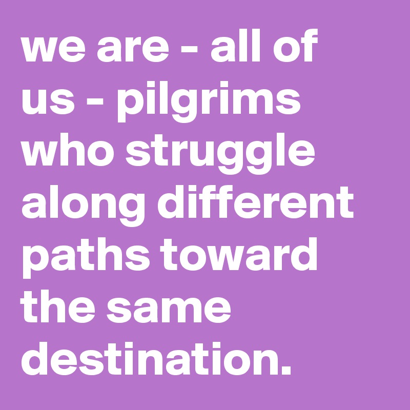 we are - all of us - pilgrims who struggle along different paths toward the same destination. 