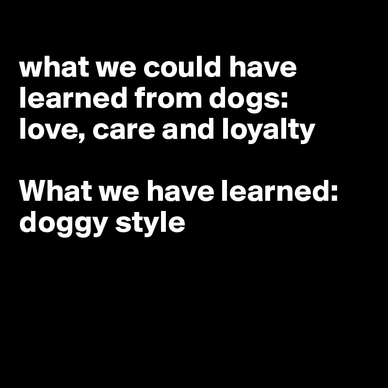 
what we could have learned from dogs: 
love, care and loyalty

What we have learned: doggy style



