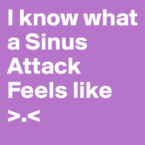 I know what a Sinus Attack Feels like >.< 