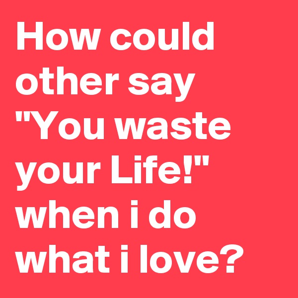 How could other say "You waste your Life!" when i do what i love? 