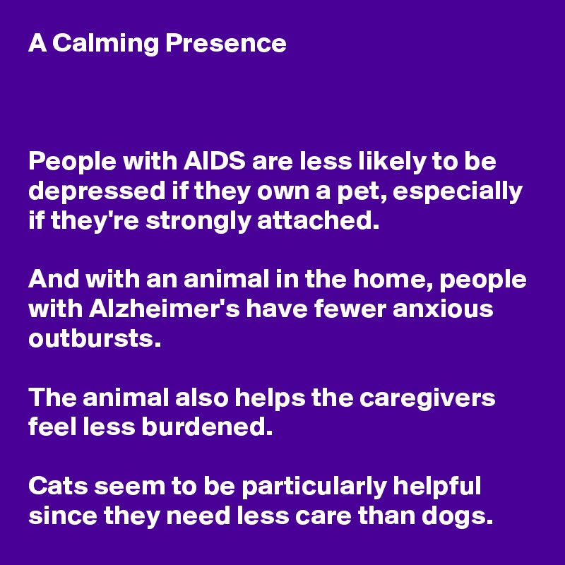 A Calming Presence



People with AIDS are less likely to be depressed if they own a pet, especially if they're strongly attached.

And with an animal in the home, people with Alzheimer's have fewer anxious outbursts.

The animal also helps the caregivers feel less burdened.

Cats seem to be particularly helpful since they need less care than dogs.