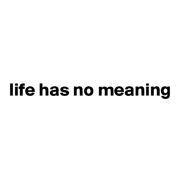 



life has no meaning



