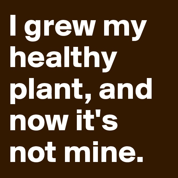 I grew my healthy plant, and now it's not mine. 