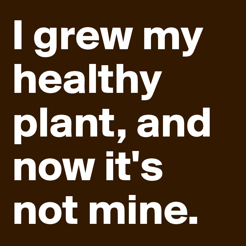 I grew my healthy plant, and now it's not mine. 