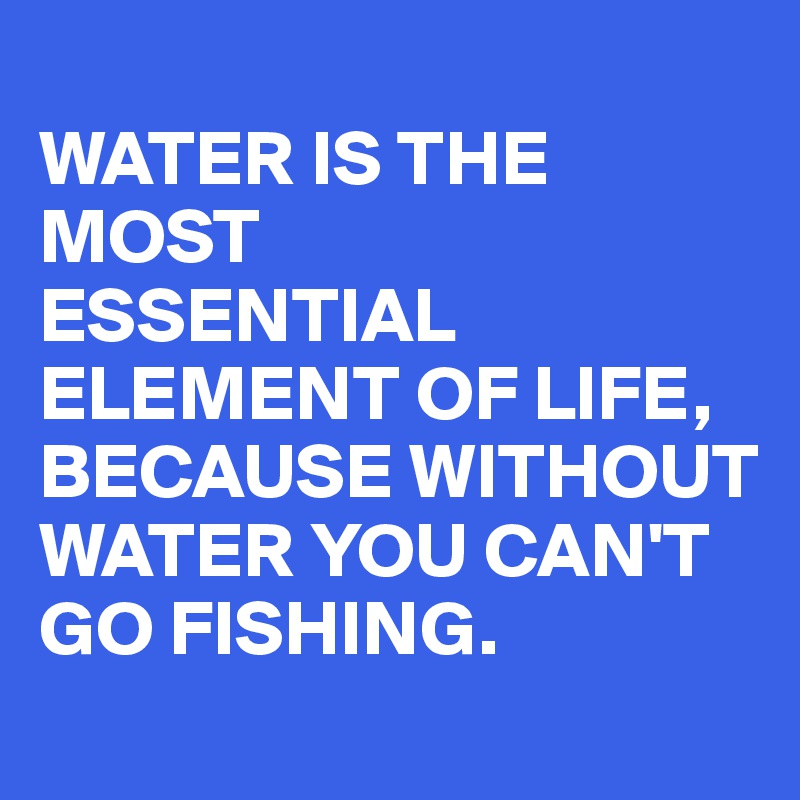 
WATER IS THE MOST
ESSENTIAL ELEMENT OF LIFE, BECAUSE WITHOUT WATER YOU CAN'T GO FISHING.

