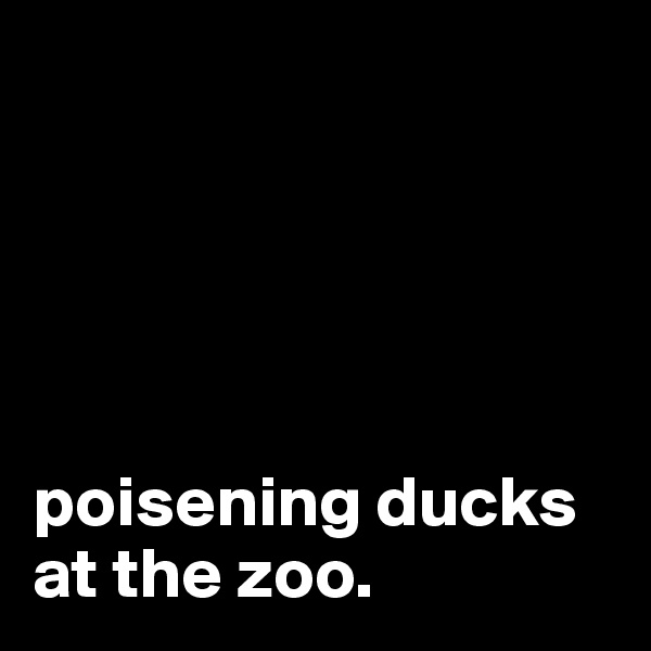





poisening ducks at the zoo.