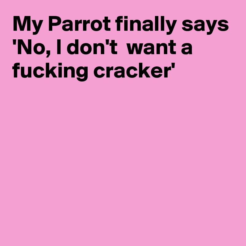 My Parrot finally says 'No, I don't  want a fucking cracker'





