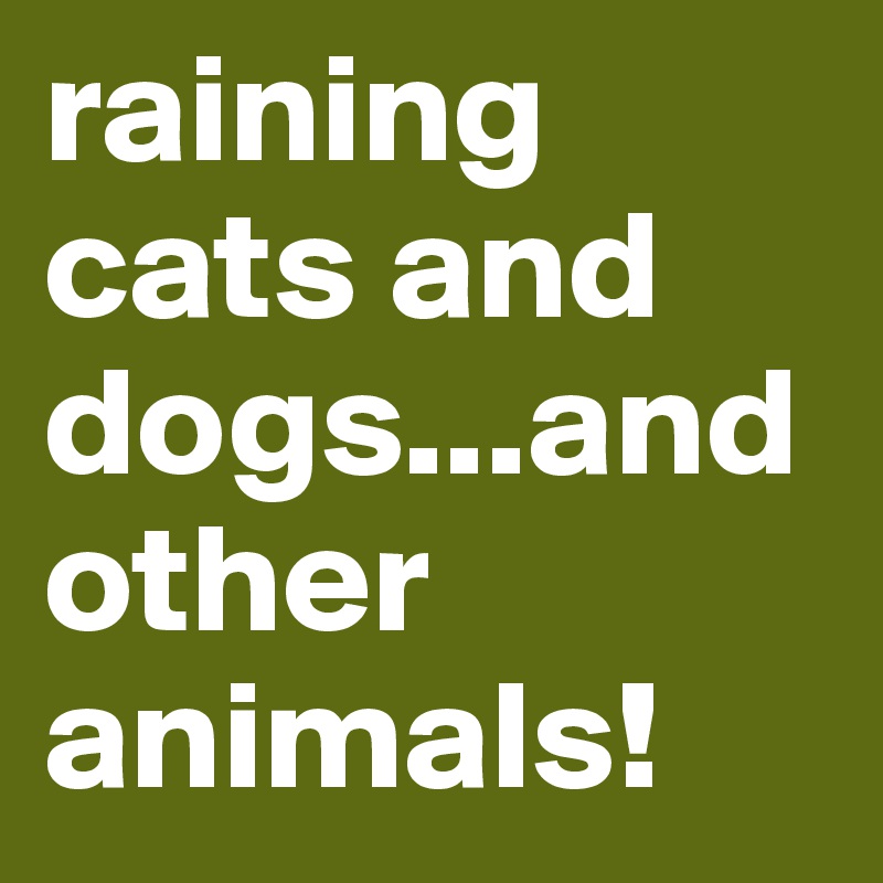 raining cats and dogs...and other animals!