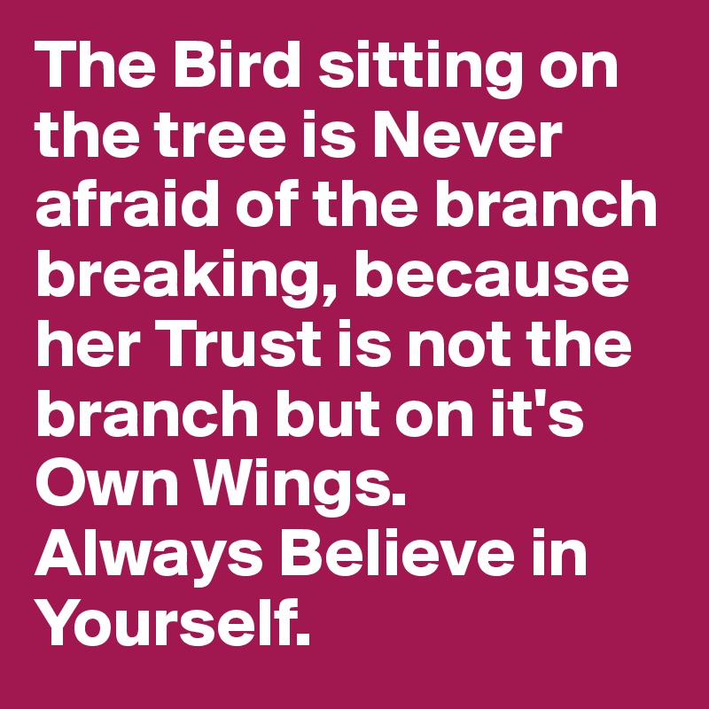 The Bird sitting on the tree is Never afraid of the branch breaking ...