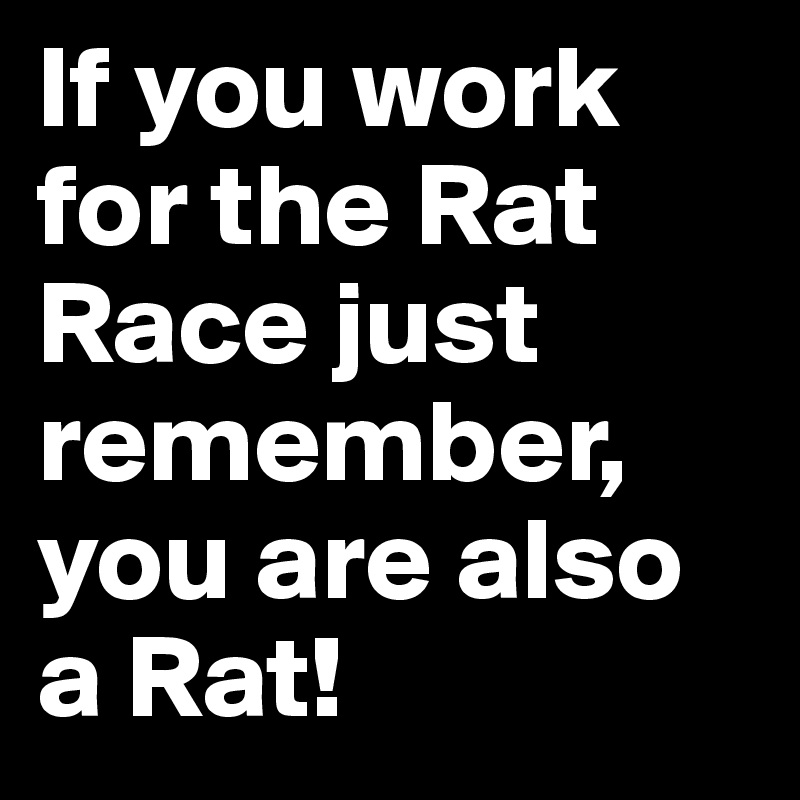 If you work for the Rat Race just remember, you are also a Rat!