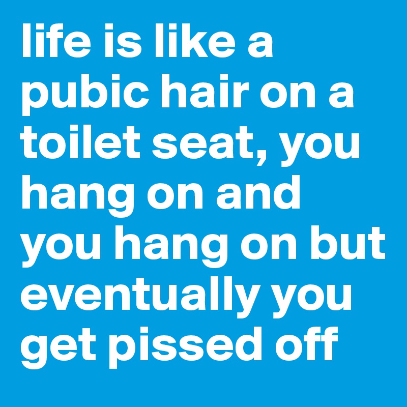 life is like a pubic hair on a toilet seat, you hang on and you hang on but eventually you get pissed off 